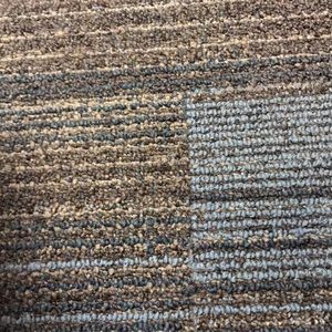 Meet your Posher, Brody